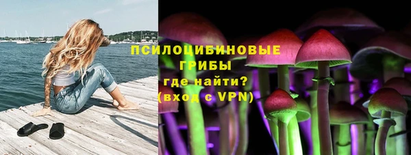меф Гатчина