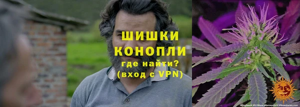 меф Гатчина