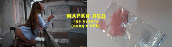 меф Гатчина