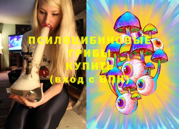 эйфоретик Гвардейск