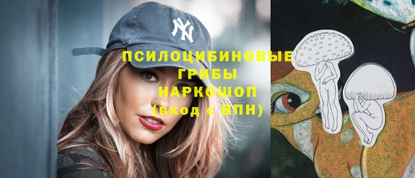 ALPHA-PVP Галич
