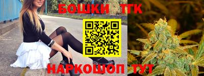 гидропоника Гусь-Хрустальный