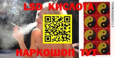 гашик Будённовск