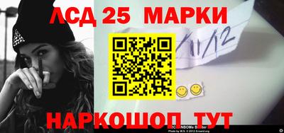 гашик Будённовск