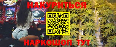 гашик Будённовск