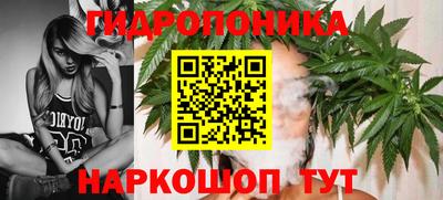 гидропоника Гусь-Хрустальный