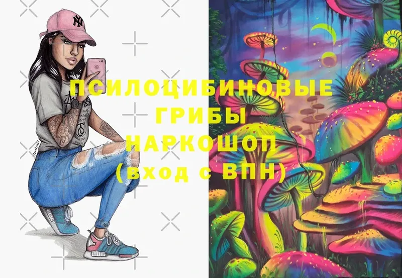 купить наркотики цена  OMG сайт  Галлюциногенные грибы Magic Shrooms  Киреевск 