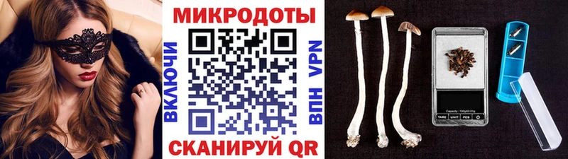 где продают   Киреевск  ссылка на мегу tor  Псилоцибиновые грибы Cubensis 