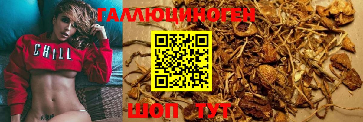 Галлюциногенные грибы Psilocybe  Вход с VPN  Киреевск 