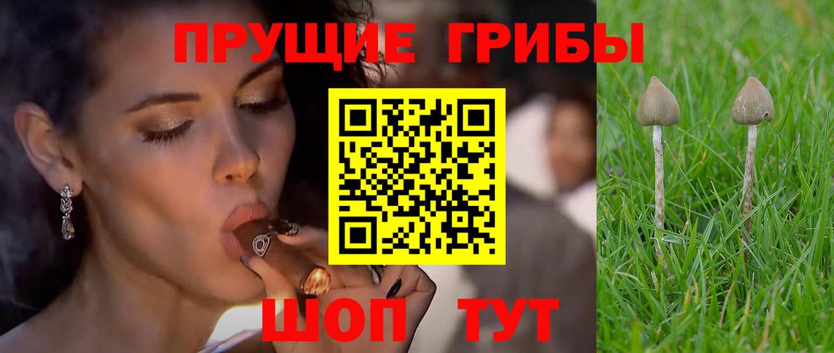 Галлюциногенные грибы MAGIC MUSHROOMS Киреевск